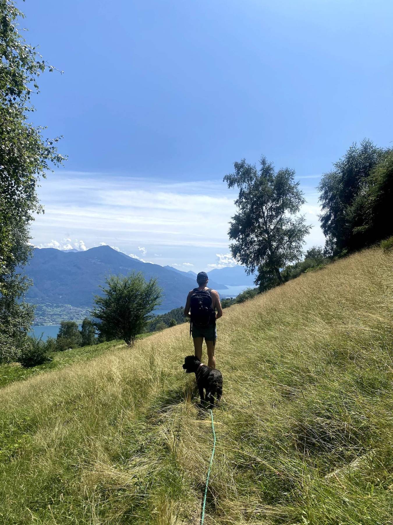 Turgåer og hund på en sti gjennom fjellengen